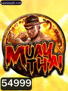 MuayThai: Descobrindo o Fascínio e as Regras do Jogo